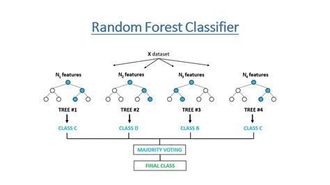 A Binary Classification Problem: Breast Cancer Tumours | by Indrani ...