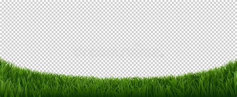 Realistic Grass Border. Green Herb Lawn, Garden Herb Plants Frame ...