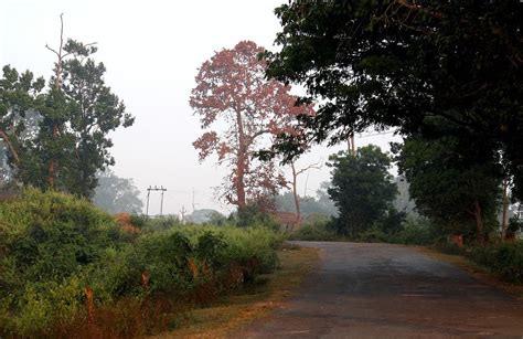 Wilderness Tales from Odisha: Fresh Flavour of Wilderness in Boudh ...