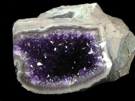 4" Deep Purple Amethyst Geode (#36471) For Sale - FossilEra.com