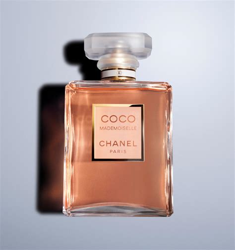 How Much Does Coco Chanel Cost - Grooming Wise