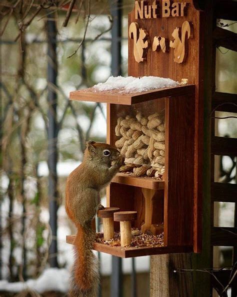 How To Make Mini Picnic Table For Squirrels