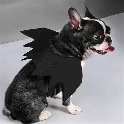 Dog Bat Halloween Costume – Frenchiely