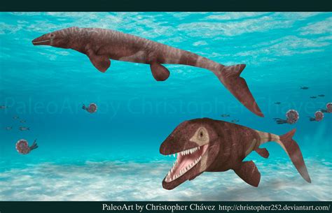 Prognathodon by Christopher252 on DeviantArt