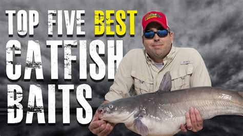 Top 5 Best Catfish Baits Made Simple - Blue, Channel, Flathead Catfish ...