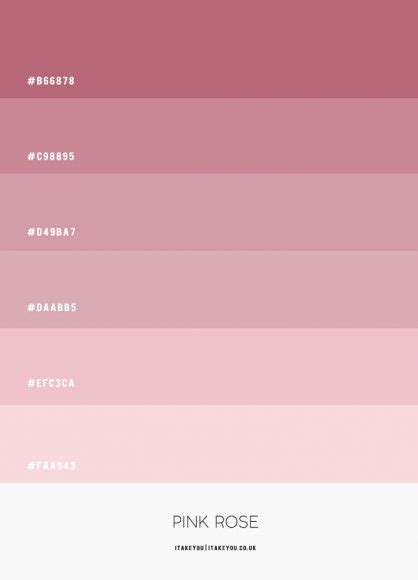 Pink Rose Colour Scheme | Shades of pink colour palette | Pink Combos