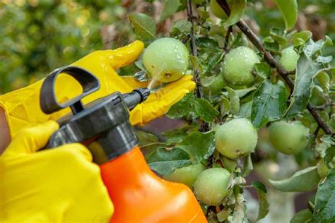 When To Spray Apple Trees - Minneopa Orchards