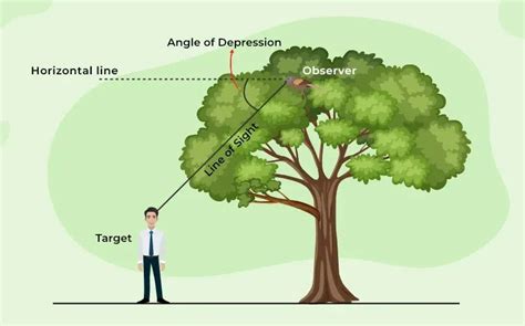 Angle of Depression | Definition, Formula, Examples & Angle of Elevation