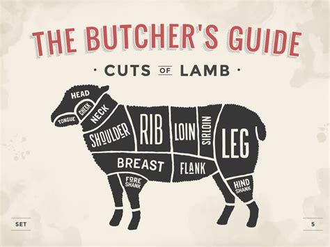 Different Cuts Of Lamb, Meat Cuts Nose To Tail : Check spelling or type ...