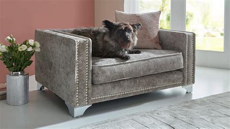 Dog Sofas | Sofology