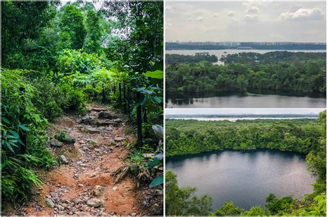 Pulau Ubin - Let’s Hike Puaka Hill, Who’s In? - Alexis Jetsets – Travel ...