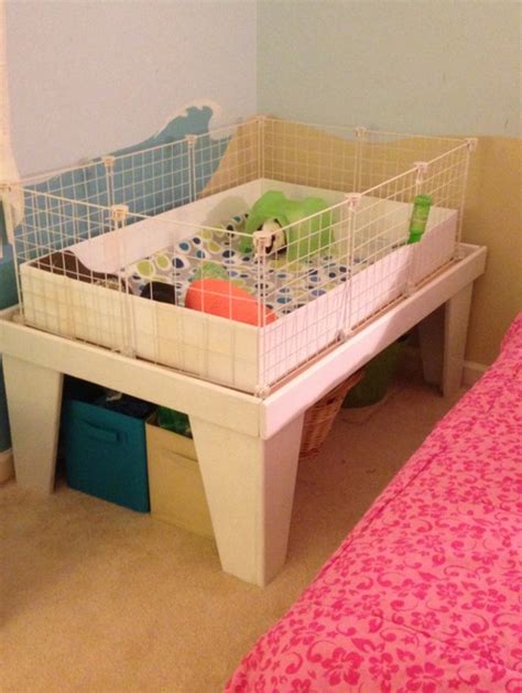 11 DIY Guinea Pig Cage Ideas | DIY Ready