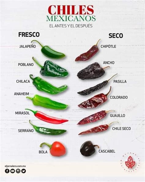 Fresh Chilies Versus Dried Chillies In Mexico