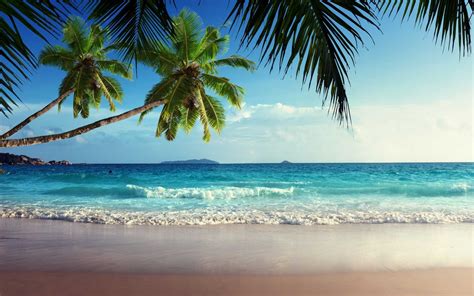 500 Beach Desktop Backgrounds Full HD High Quality