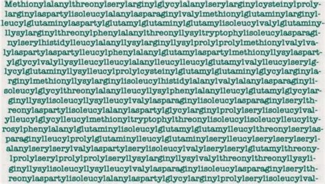 The Top 10 Longest Words in the English Language