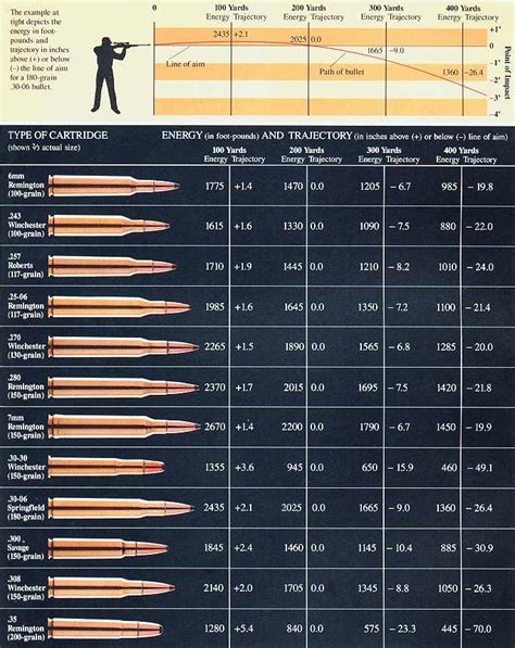 Vintage Outdoors: Comparison Of Popular Hunting Rifle Ammo Calibers