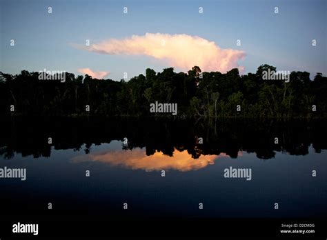 Sunset over the Amazon jungle Stock Photo - Alamy