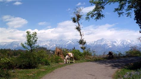 India - Himachal Pradesh - Kangra Valley Railway - 2011 | Flickr