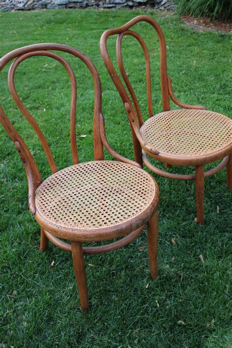 Antique White: pair of Thonet bentwood chairs