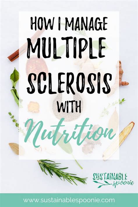 Multiple Sclerosis Diet to balance your immune system - Recipe for Success