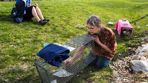 UIS tells students and employees to stop feeding feral cats