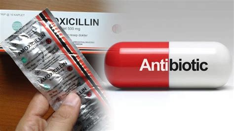 Mekanisme Kerja Antibiotik, Resistensi, dan Pedoman Pemakaian