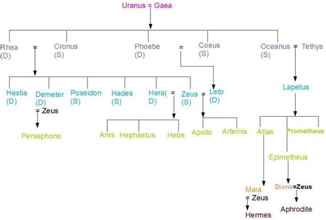 Zeus Family Tree - TerrencearesChung