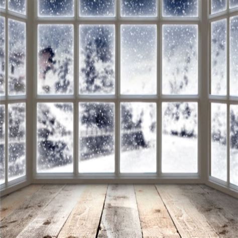 Amazon.com: Winter Indoor Photography Backdrops Snow Window Backgrounds ...