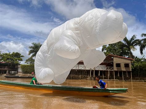 Hippos in Colombia: What to do with them? | Graduate and Postdoctoral ...