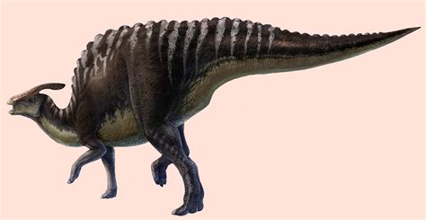 Hadrosaur Facts, Habitat, Diet, Fossils, Pictures