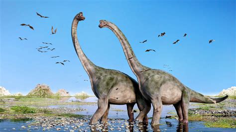 Sauropod dinosaurs lived only in Earth's warmer regions - Earth.com