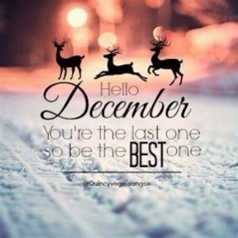 Hello December Quotes With Beautiful. QuotesGram