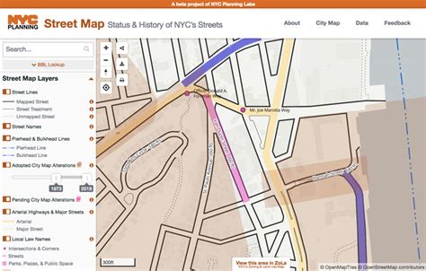 Street Map Of New York City - Viola Jessamyn