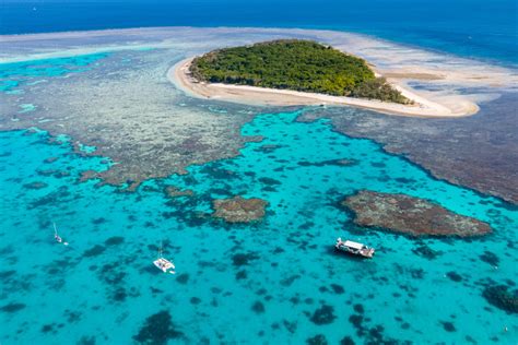 Great Barrier Reef | Australia's Great Natural Wonder