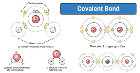 Covalent Bonds Study Guide - Inspirit