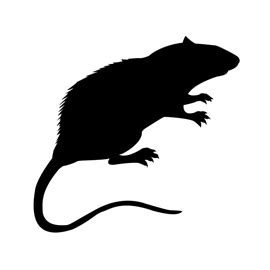 Rat Silhouette Stencil | Free Stencil Gallery