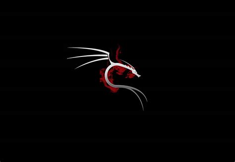 Download Kali Linux OS Dragon White Wallpaper | Wallpapers.com