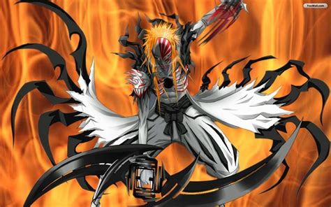 Bleach Anime Photo: Ichigo's Hollow Form | Bleach anime ichigo, Bleach ...