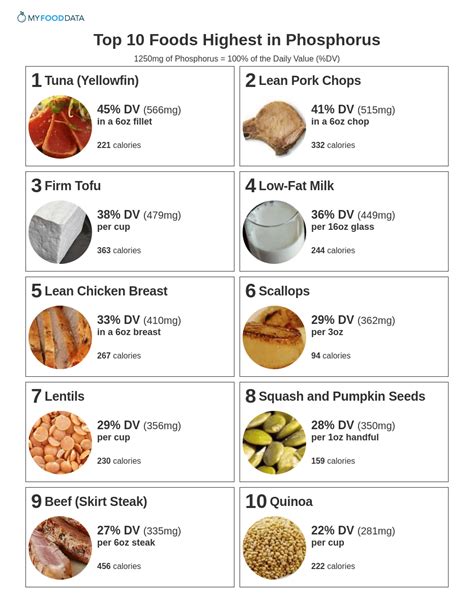 Top 10 Foods Highest in Phosphorus