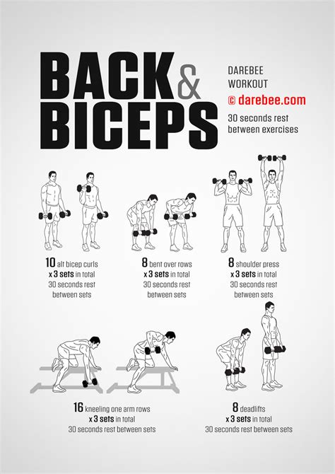 intense back and bicep workout > OFF-50%