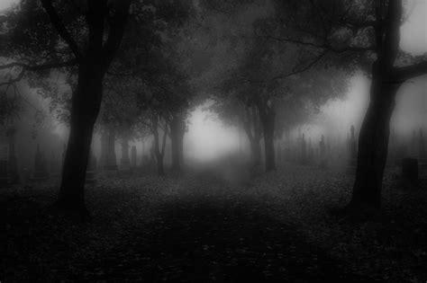 spooky cemetary | Scary backgrounds, Creepy backgrounds, Scary wallpaper