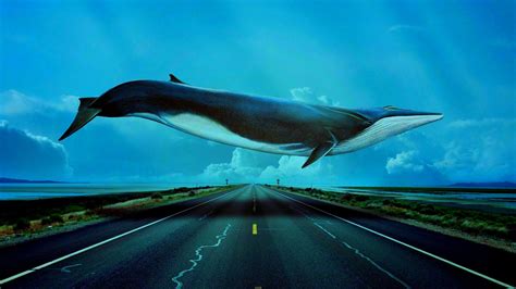 55+ Blue Whale Wallpapers - Download at WallpaperBro Wallpaper Online ...