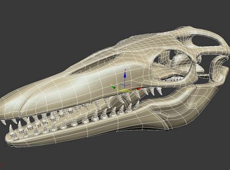 18 in1 dino skeleton model - TurboSquid 1228736