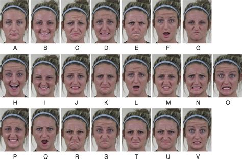 Facial Expressions Chart Psychology