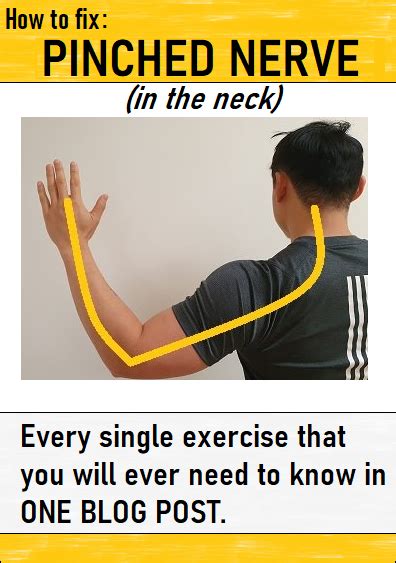 Pin on Exercises For A Pinched Nerve In The Neck