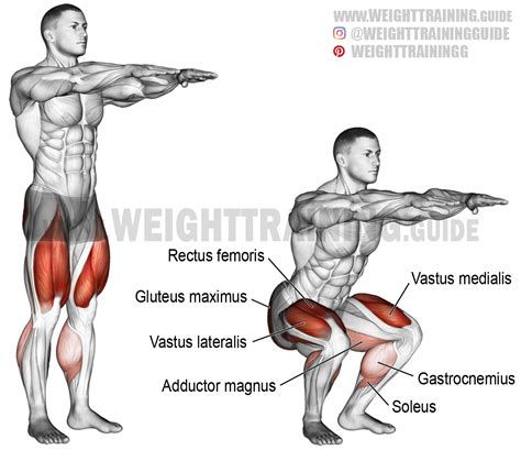 Bodyweight squat exercise instructions and video | Weight Training Guide