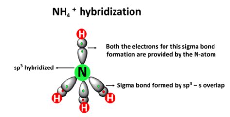 NH4+ lewis structure, molecular geometry, bond angle, hybridization