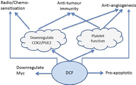 DCF mechanisms of action. | Download Scientific Diagram