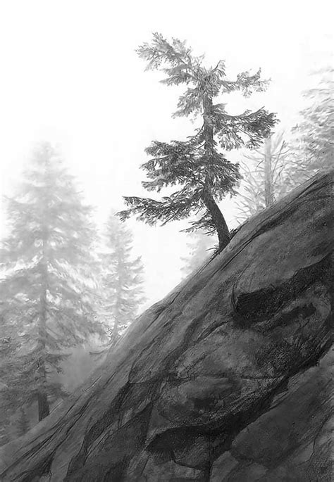 Realistic Nature Drawing