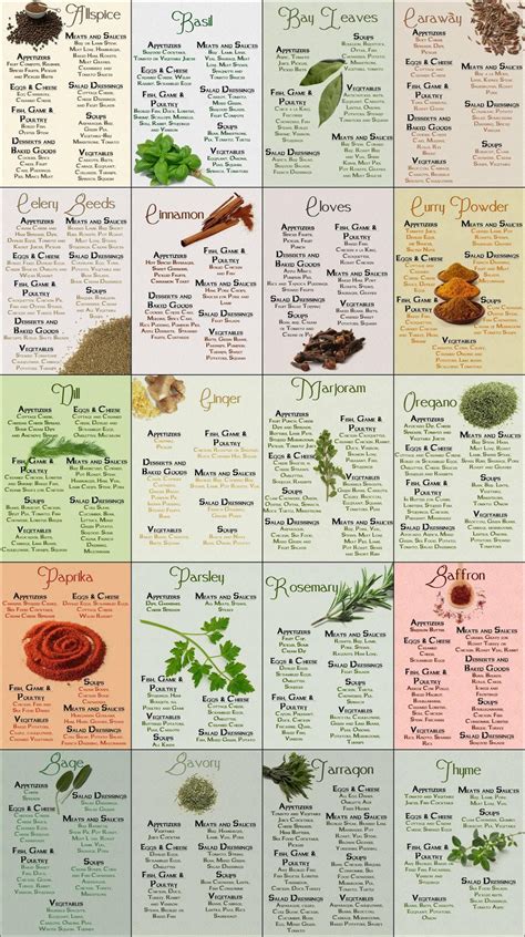 a poster with different types of herbs on it